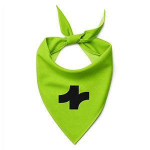 Large Pet Bandana Thumbnail