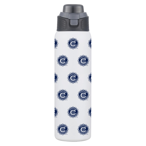 28 oz 2 in 1 Stainless Steel Water Bottle - White Image