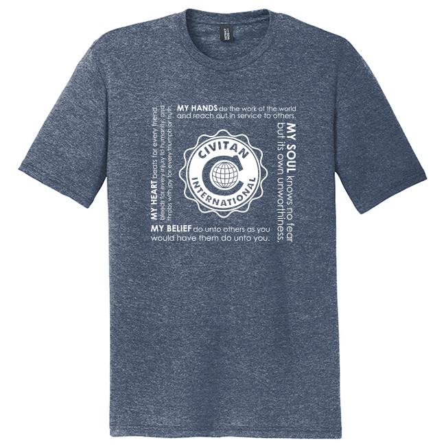 Perfect Tri Blend T-Shirt Image