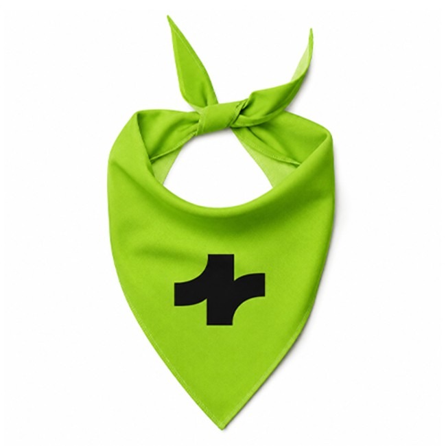 Large Pet Bandana